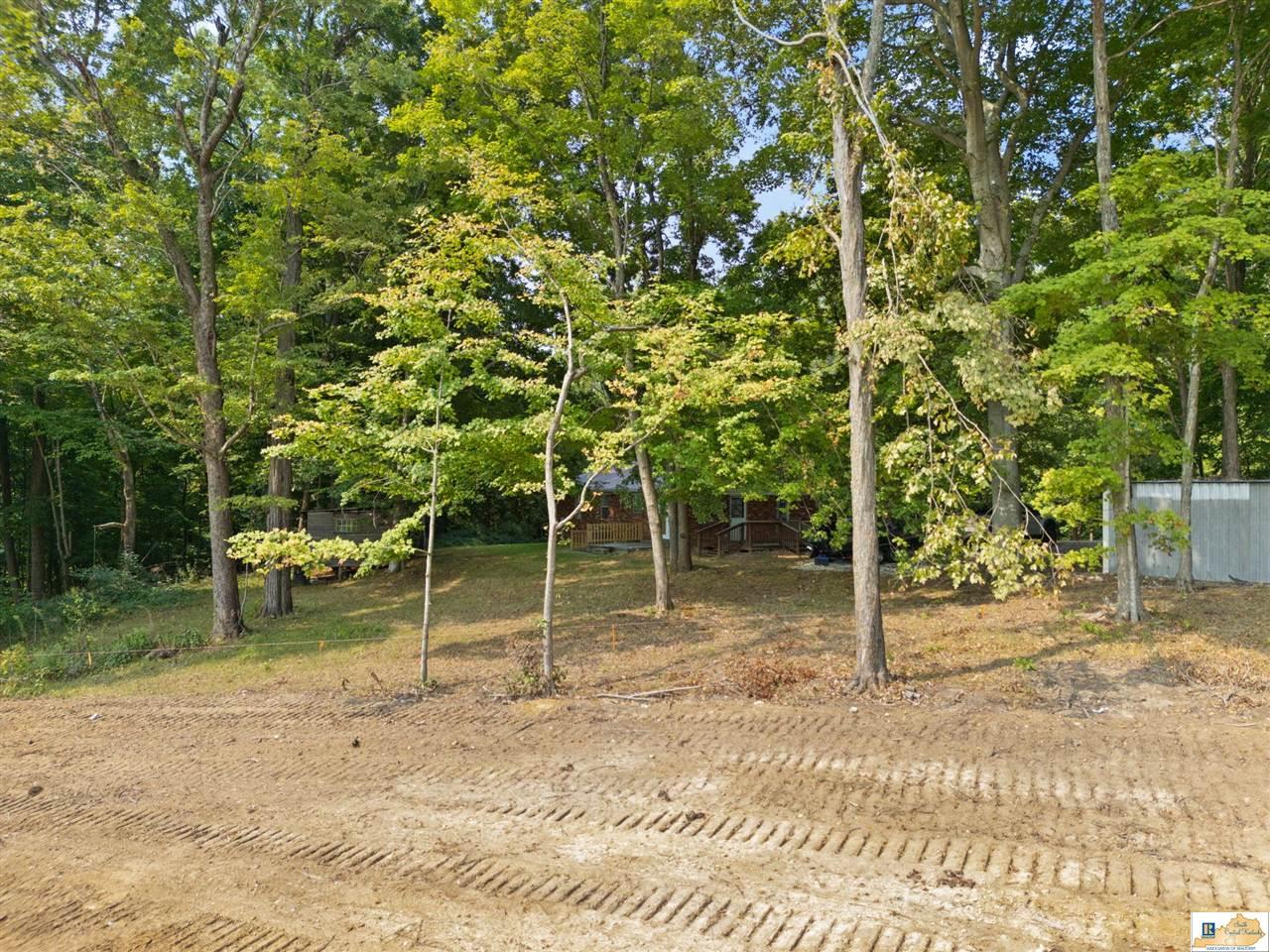 131 Wayne Poynter Road Edmonton, KY 42129 - Photo 40 of 63 Gallery Image 40