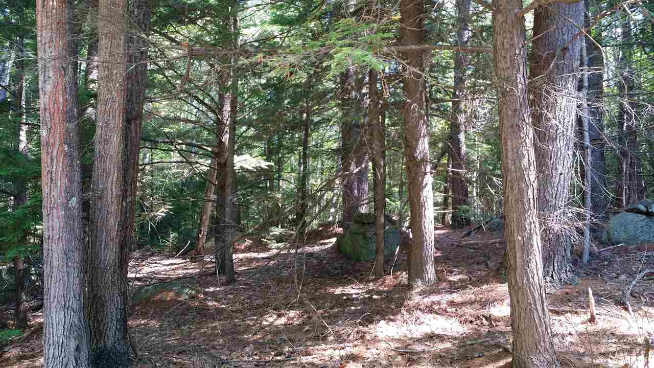 Aunt Mary Brook Road Candia, NH 03034 - Photo 5 of 6