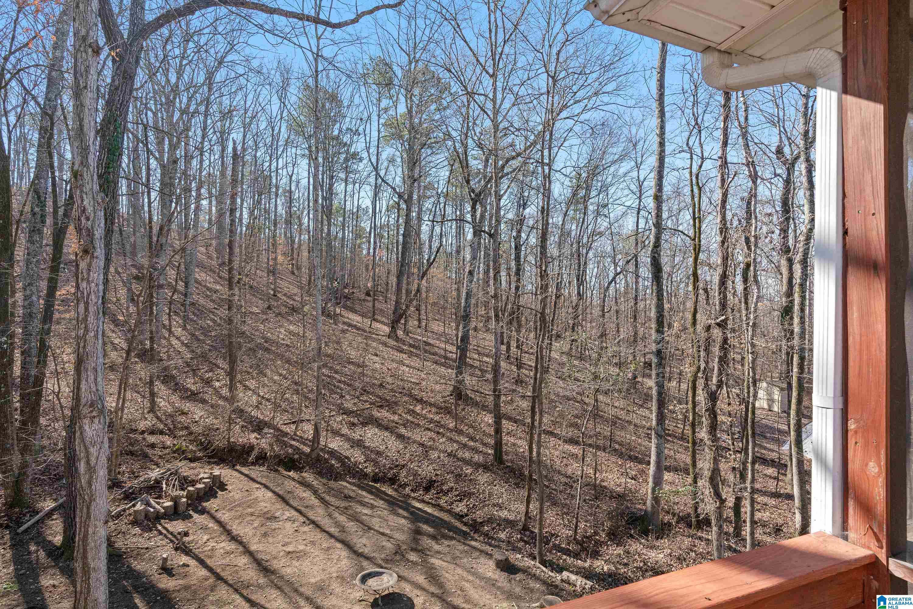 172 Silverleaf Drive Pelham, AL 35124 - Photo 47 of 54