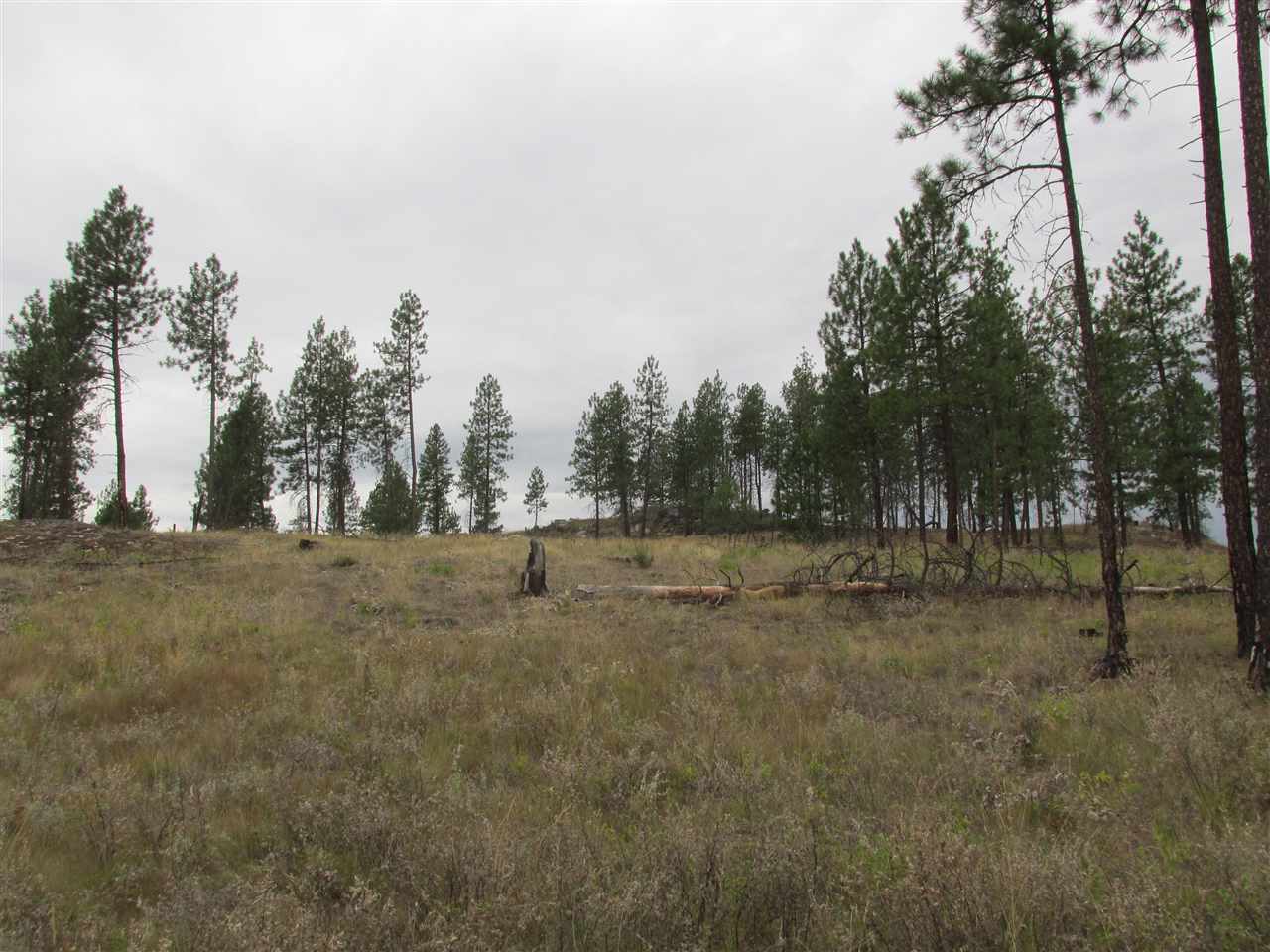 1021 Westover (30 Ac) Road Colville, WA 99114 - Photo 8 of 8 Gallery Image 8