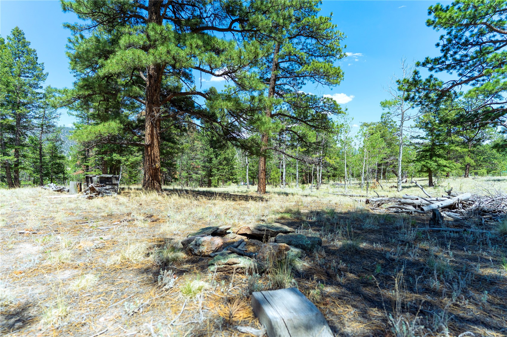 1036 Pulver Road Lake George, CO 80827 - Photo 22 of 27