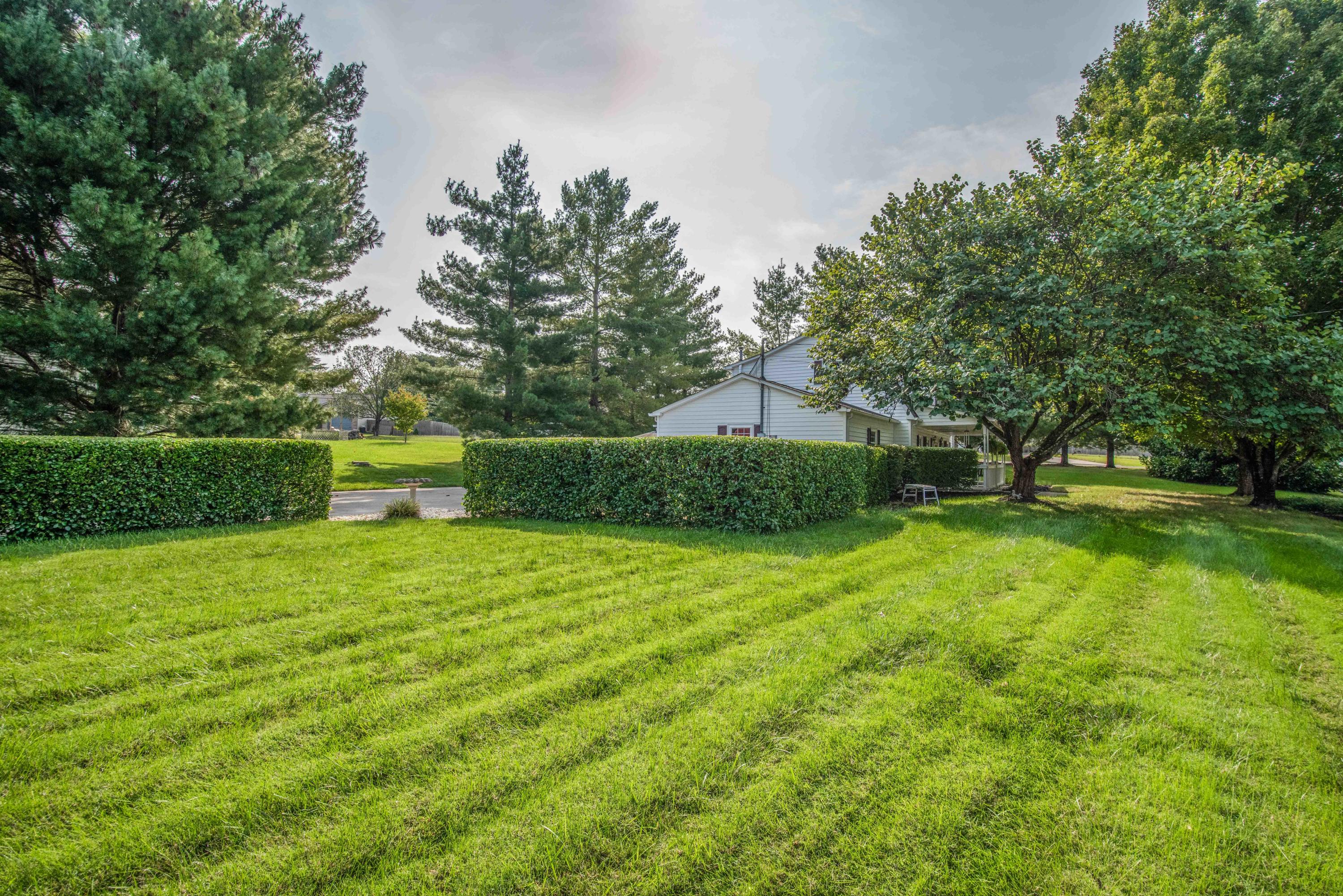 120 Ruth Street Corryton, TN 37721 - Photo 34 of 38 yard_1
