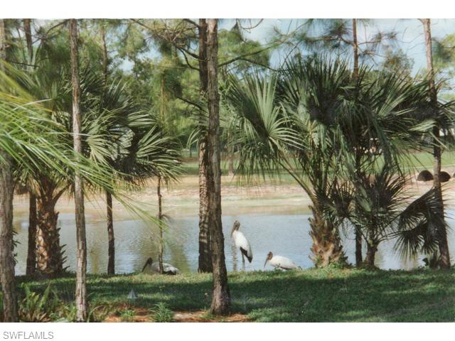 265 Deerwood Circle, Unit 3 Naples, FL 34113 - Photo 11 of 14 a view of open space with green space