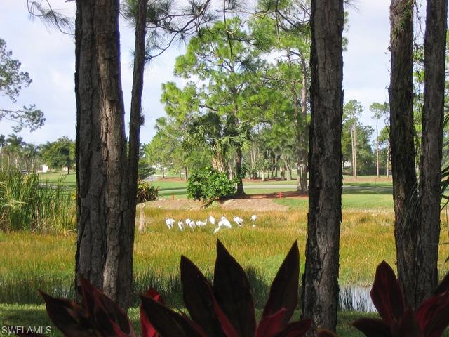 265 Deerwood Circle, Unit 3 Naples, FL 34113 - Photo 10 of 14 a view of a lake from a yard