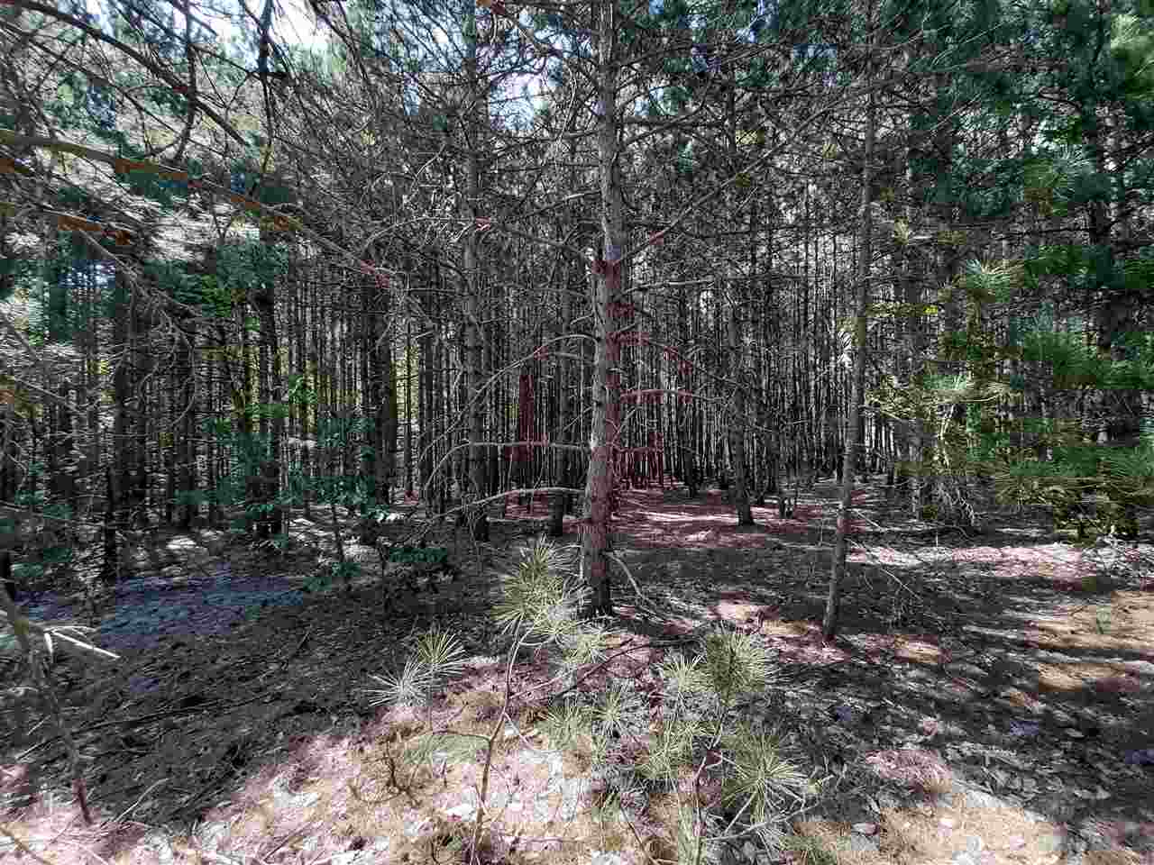 11987 West 14 Road Mesick, MI 49668 - Photo 93 of 99