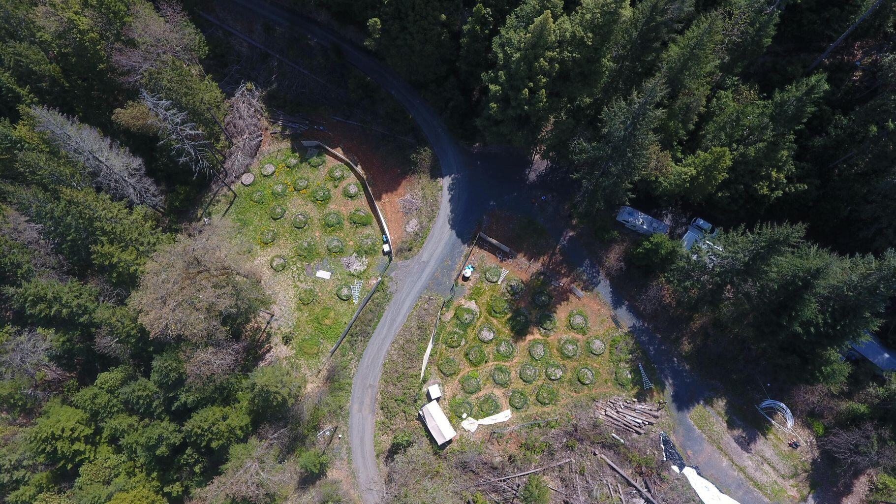 6223 Takilma Road Cave Junction, OR 97523 - Photo 10 of 13 20220502214342820100000000-o