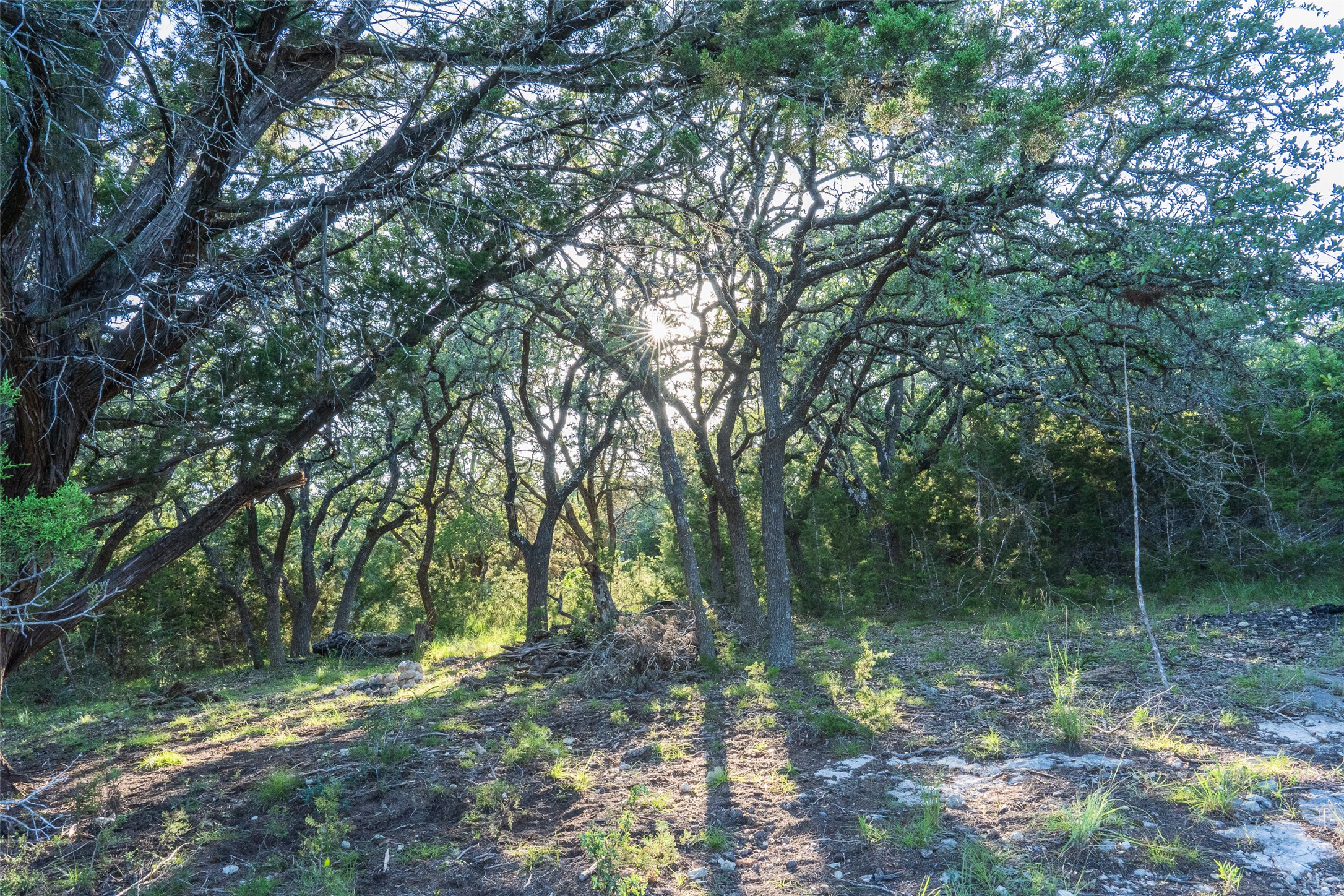 Tbd Crabapple Road Blanco, TX 78606 - Photo 7 of 17