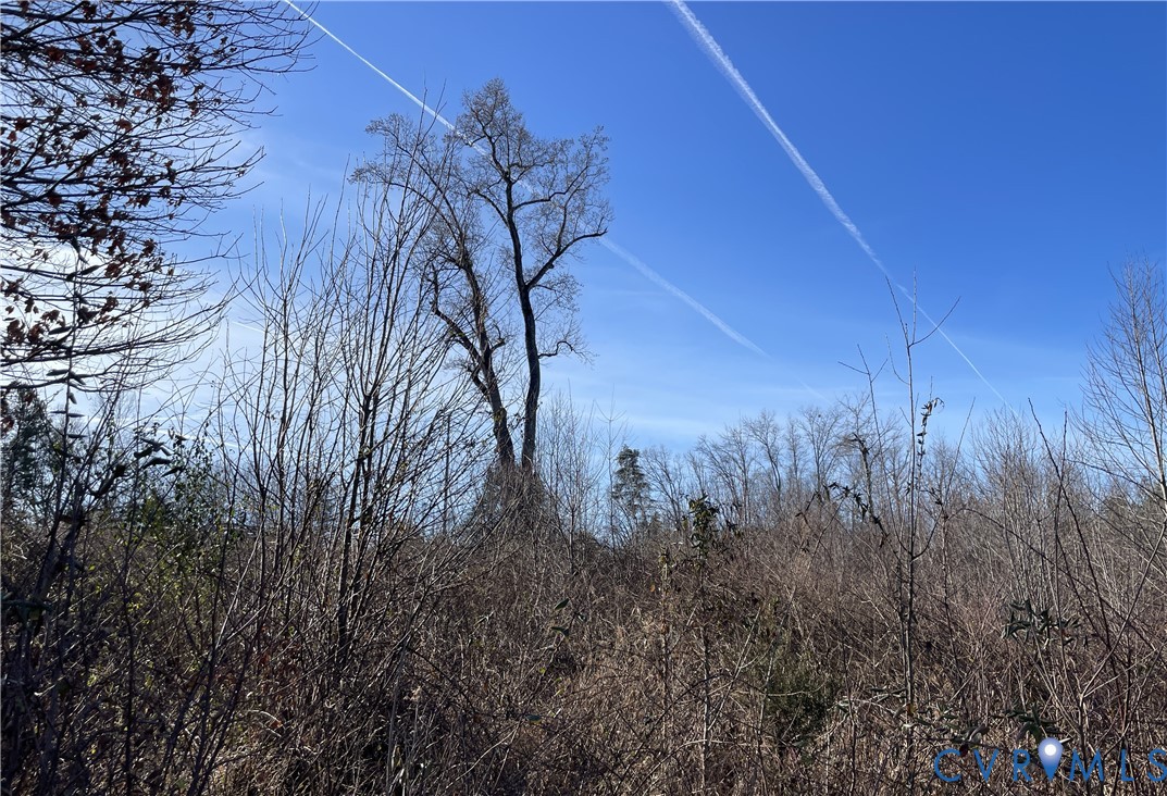 1082 John Run Road Vernon Hill, VA 24597 - Photo 12 of 15