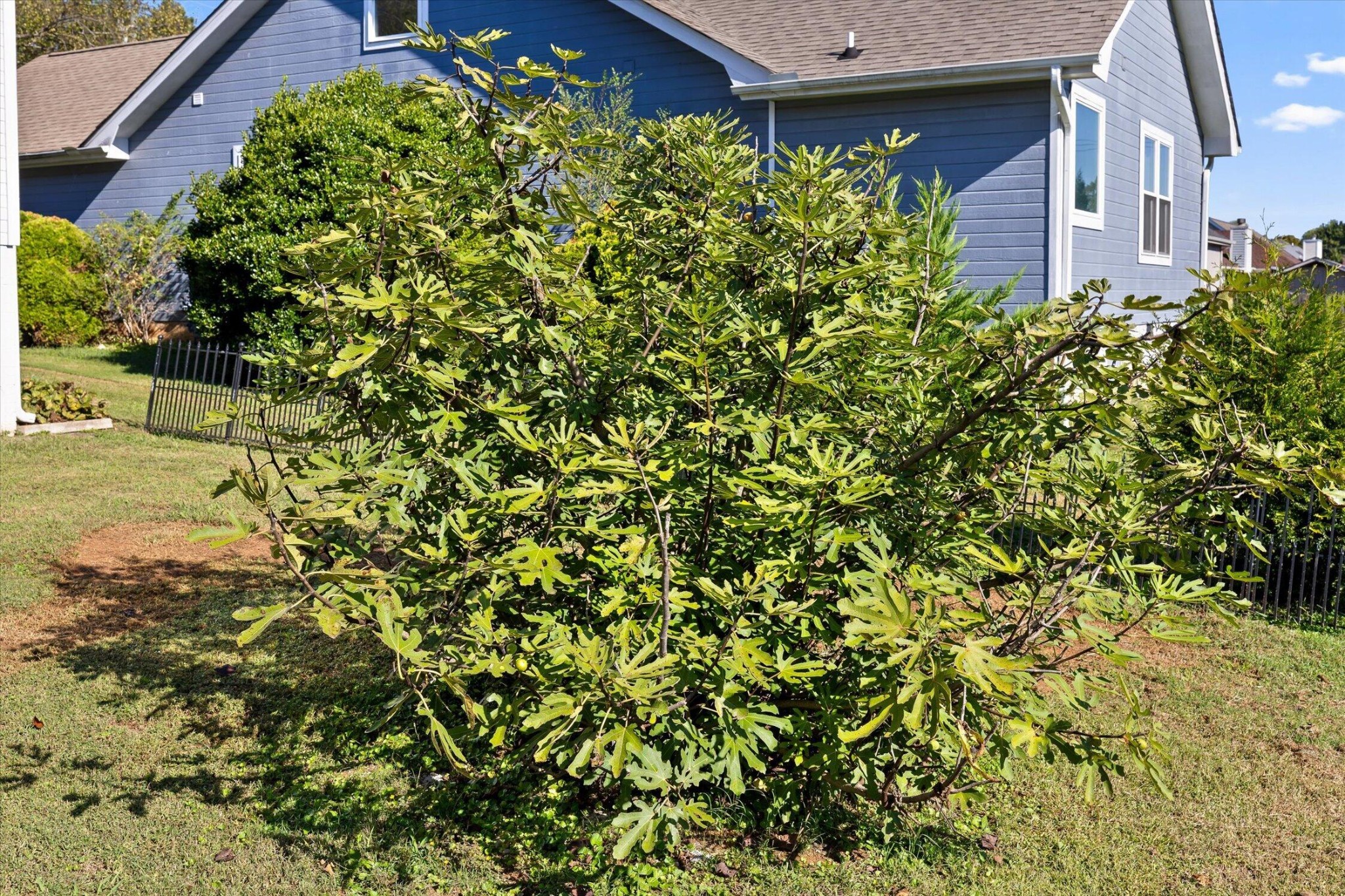 5710 Edgmon Road Ooltewah, TN 37363 - Photo 47 of 68 Gallery Image 47