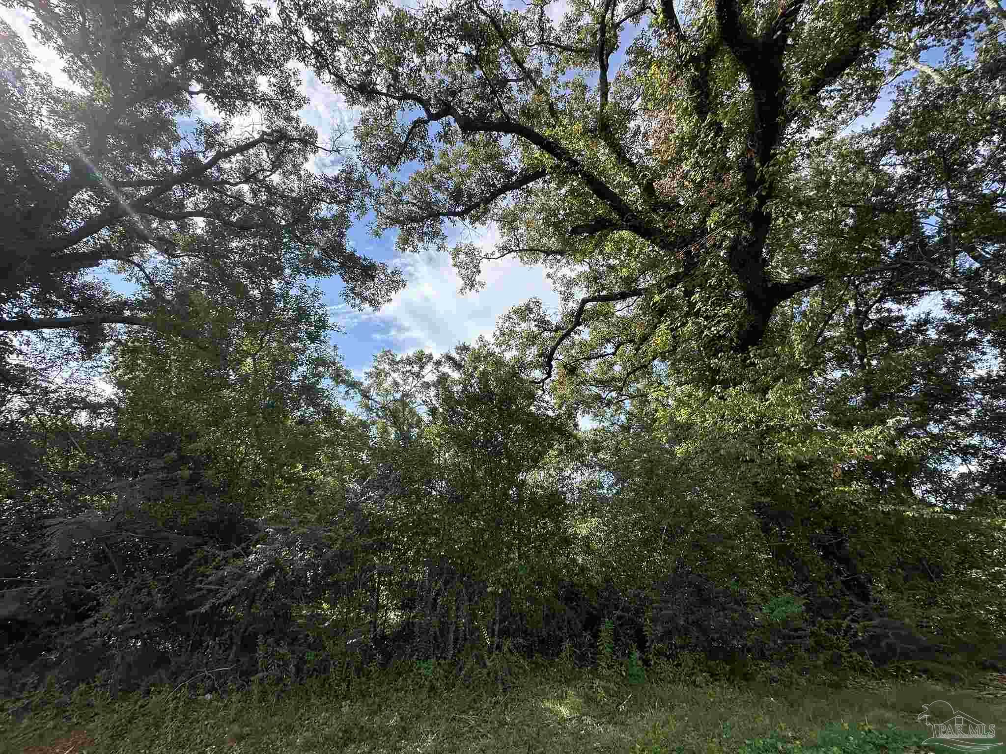 Lot 2 State Highway Jay, FL 32565 - Photo 21 of 26 a view of a lake with lots of trees