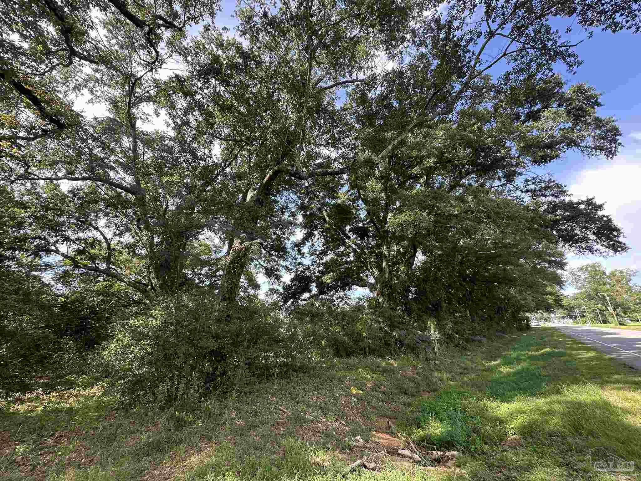 Lot 2 State Highway Jay, FL 32565 - Photo 24 of 26 a view of a tree with a yard