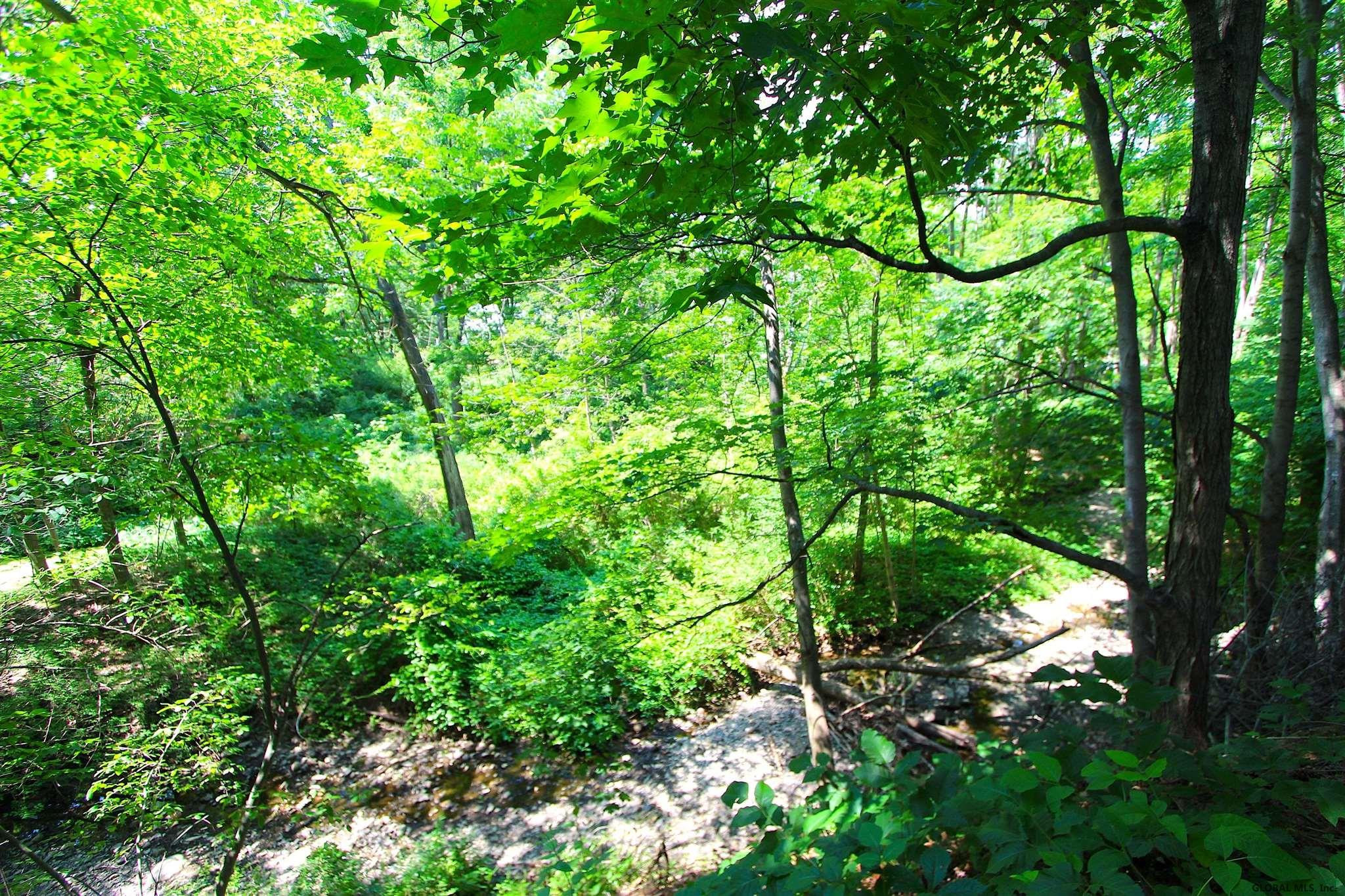 26 Bullock Road Slingerlands, NY 12159 - Photo 24 of 25 Photo 24