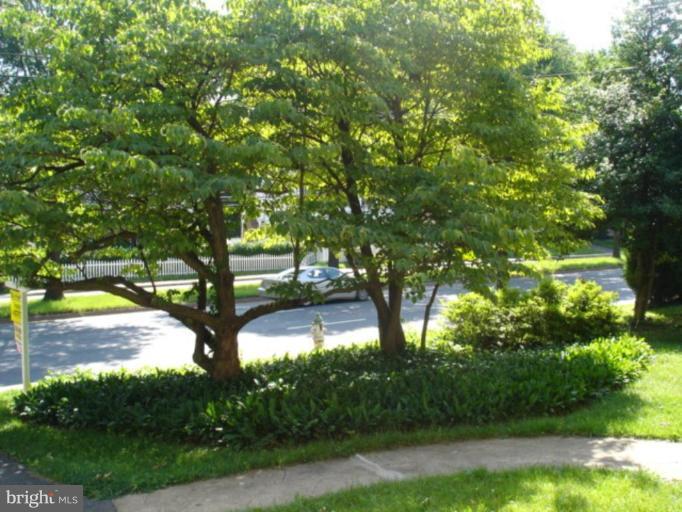 9500 Old Georgetown Road Bethesda, MD 20814 - Photo 2 of 17 Beautifully mature trees in front yard