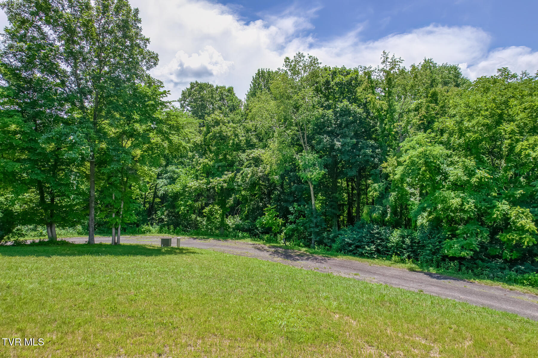 Lot 50 Dry Hill Road, Unit 50 Butler, TN 37640 - Photo 3 of 27 Lot 50, Redbud Cir-1