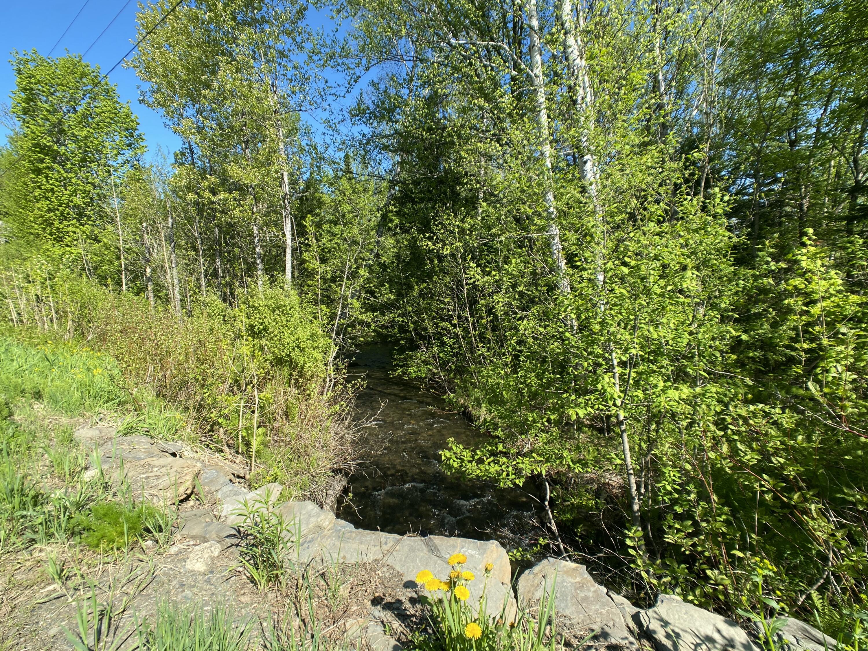 Lot 8 Convent Road Eagle Lake, ME 04739 - Photo 5 of 17 IMG_7976