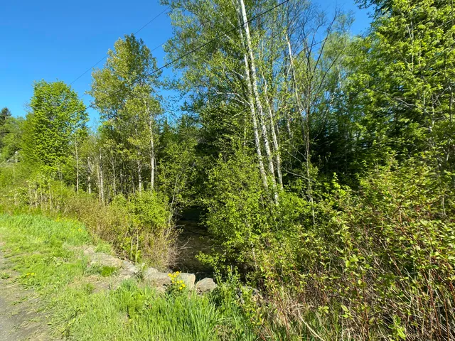 $59,900 | Lot 8 Convent Road, Eagle Lake, ME 04739