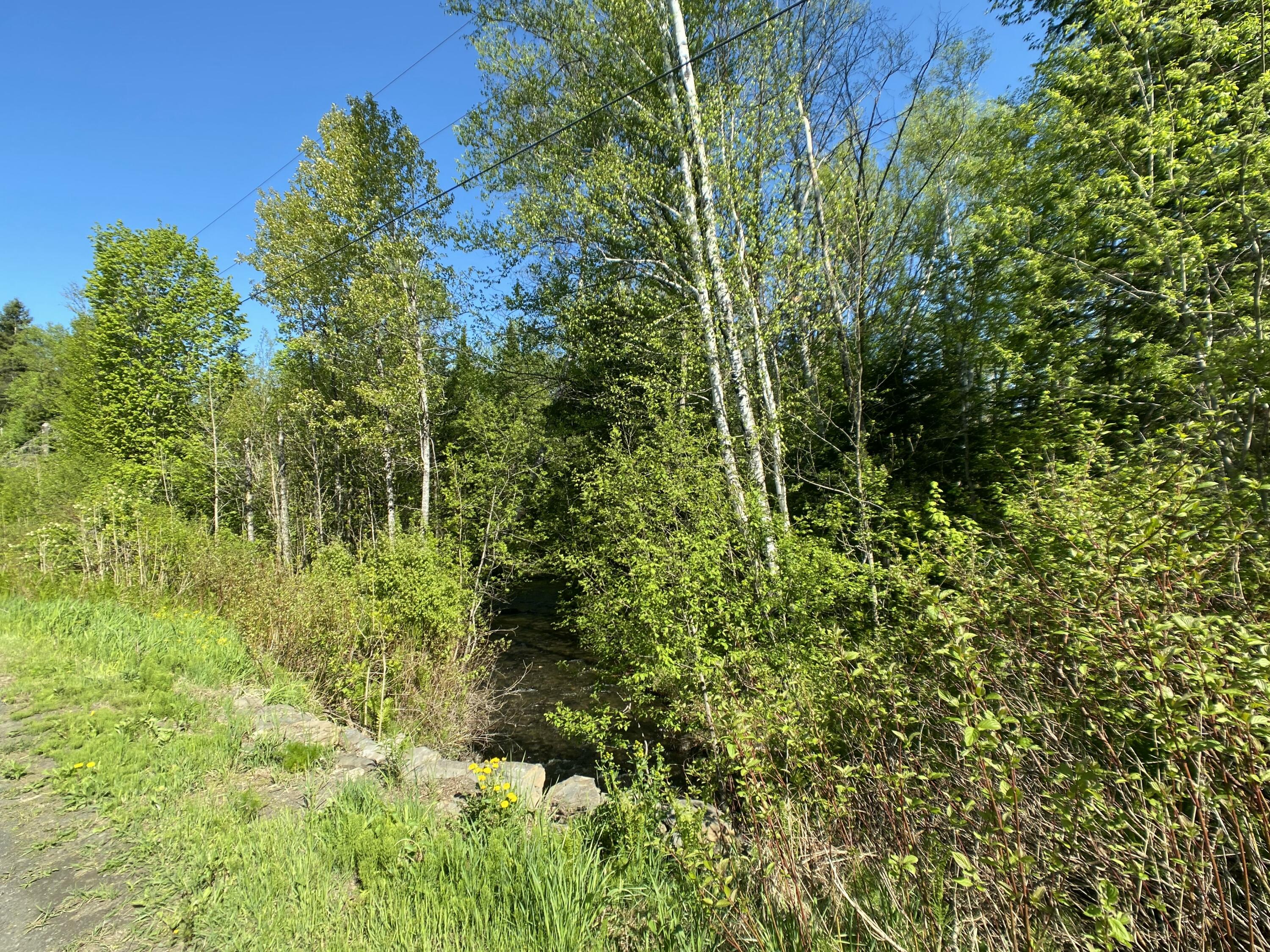 Lot 8 Convent Road Eagle Lake, ME 04739 - Photo 6 of 17 IMG_7975