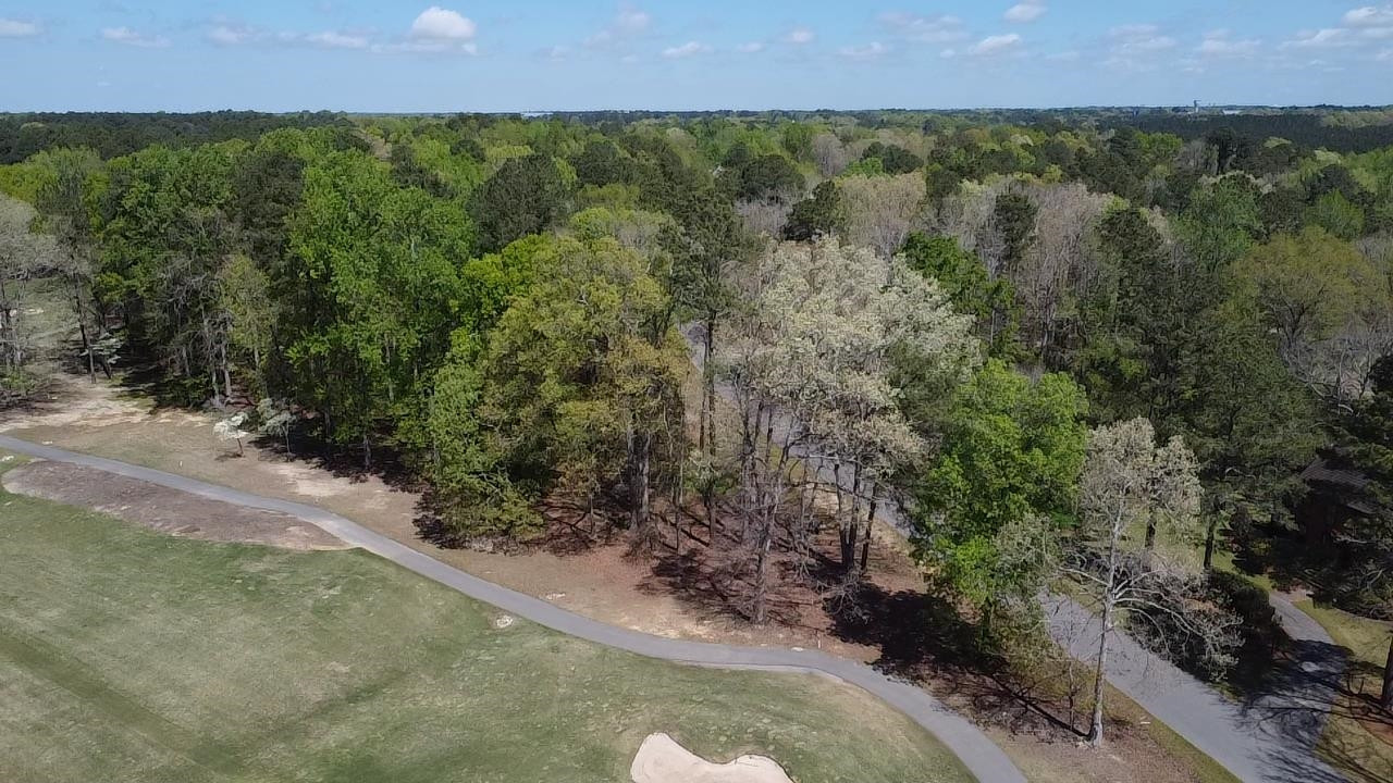Lot 171 Keith Hills Road Lillington, NC 27546 - Photo 3 of 18 Photo 3
