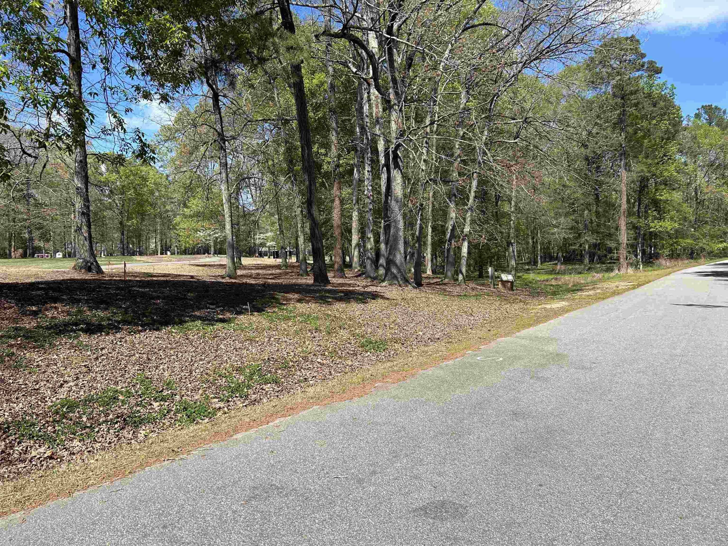 Lot 171 Keith Hills Road Lillington, NC 27546 - Photo 7 of 18 Photo 7