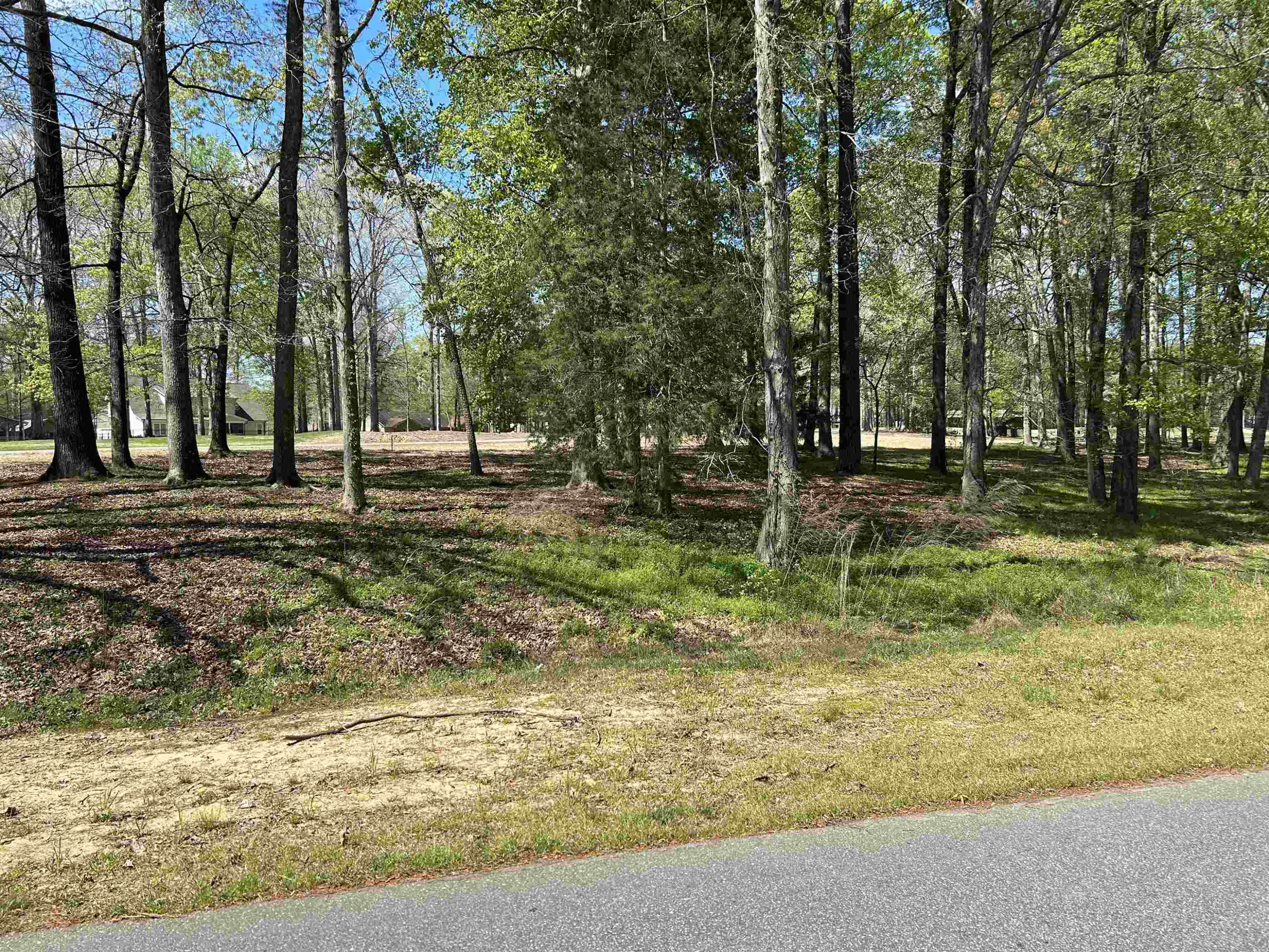 Lot 171 Keith Hills Road Lillington, NC 27546 - Photo 9 of 18 Photo 9