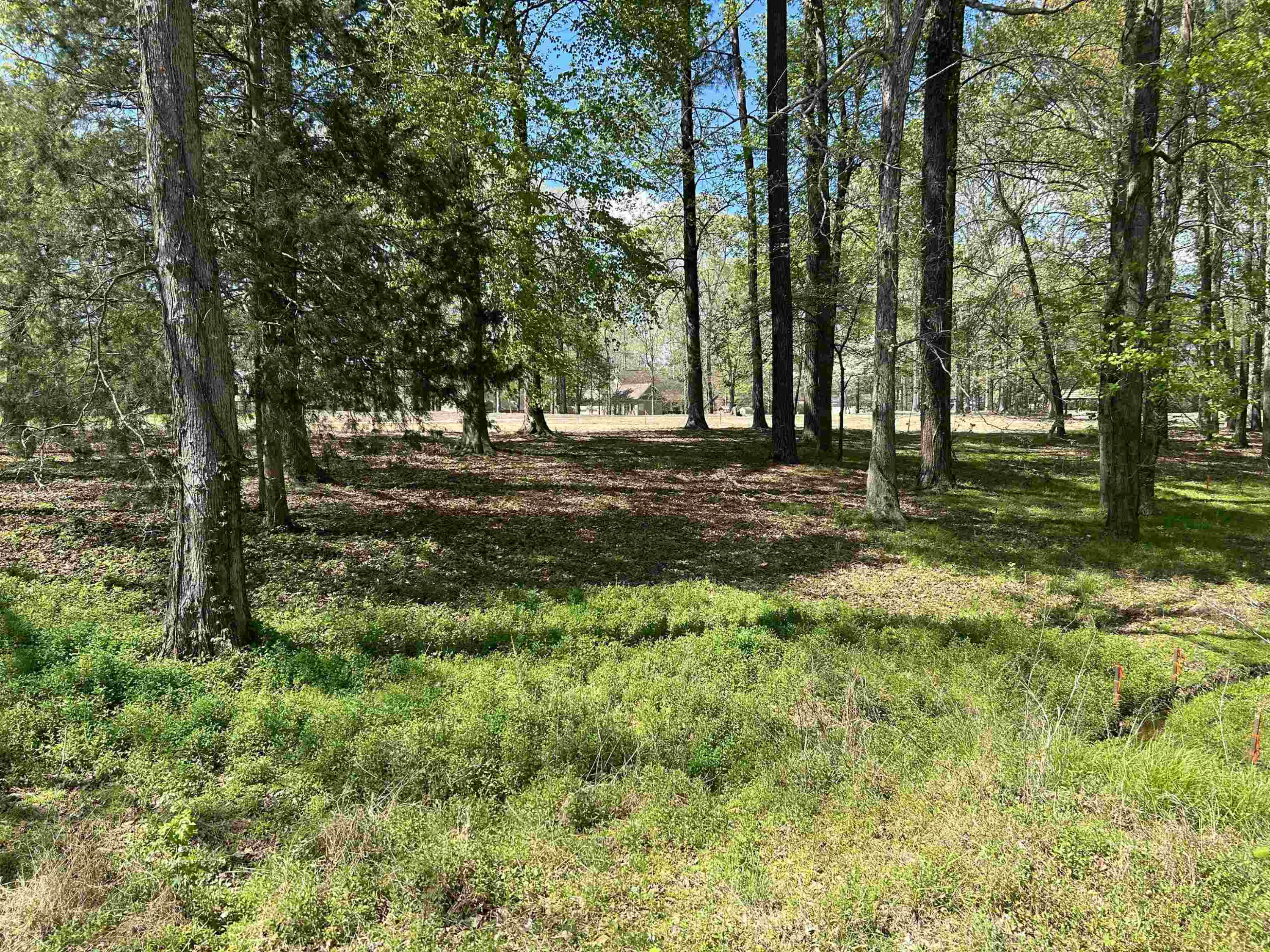 Lot 171 Keith Hills Road Lillington, NC 27546 - Photo 10 of 18 Photo 10