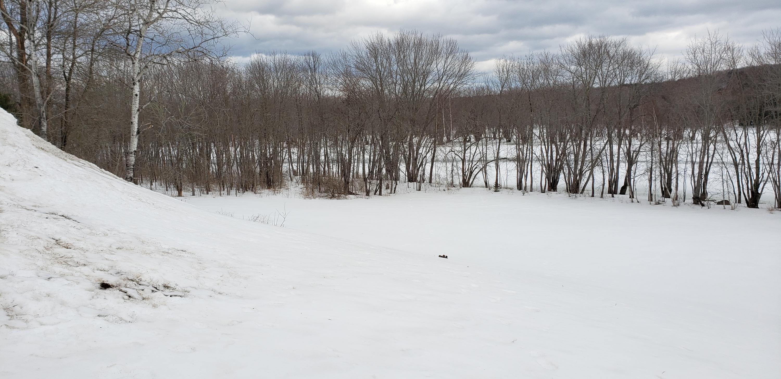 781 North Chester Road Lincoln, ME 04457 - Photo 23 of 74 781 N. Chester Road (133)