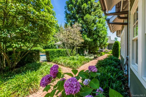 a view of flowers and flowers in a garden