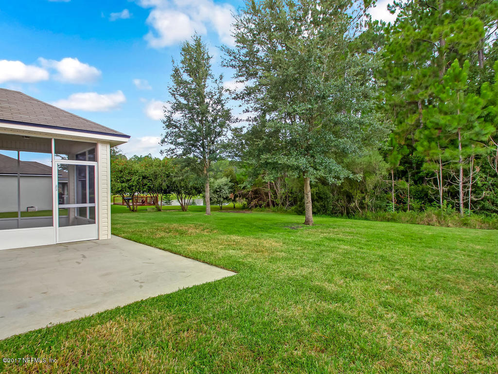 9158 Raptor Drive Jacksonville, FL 32221 - Photo 40 of 45 a view of a house with a big yard potted plants and large tree