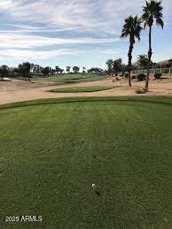 15881 West Berkeley Road Goodyear, AZ 85395 - Photo 79 of 81 Palm Valley Golf Club