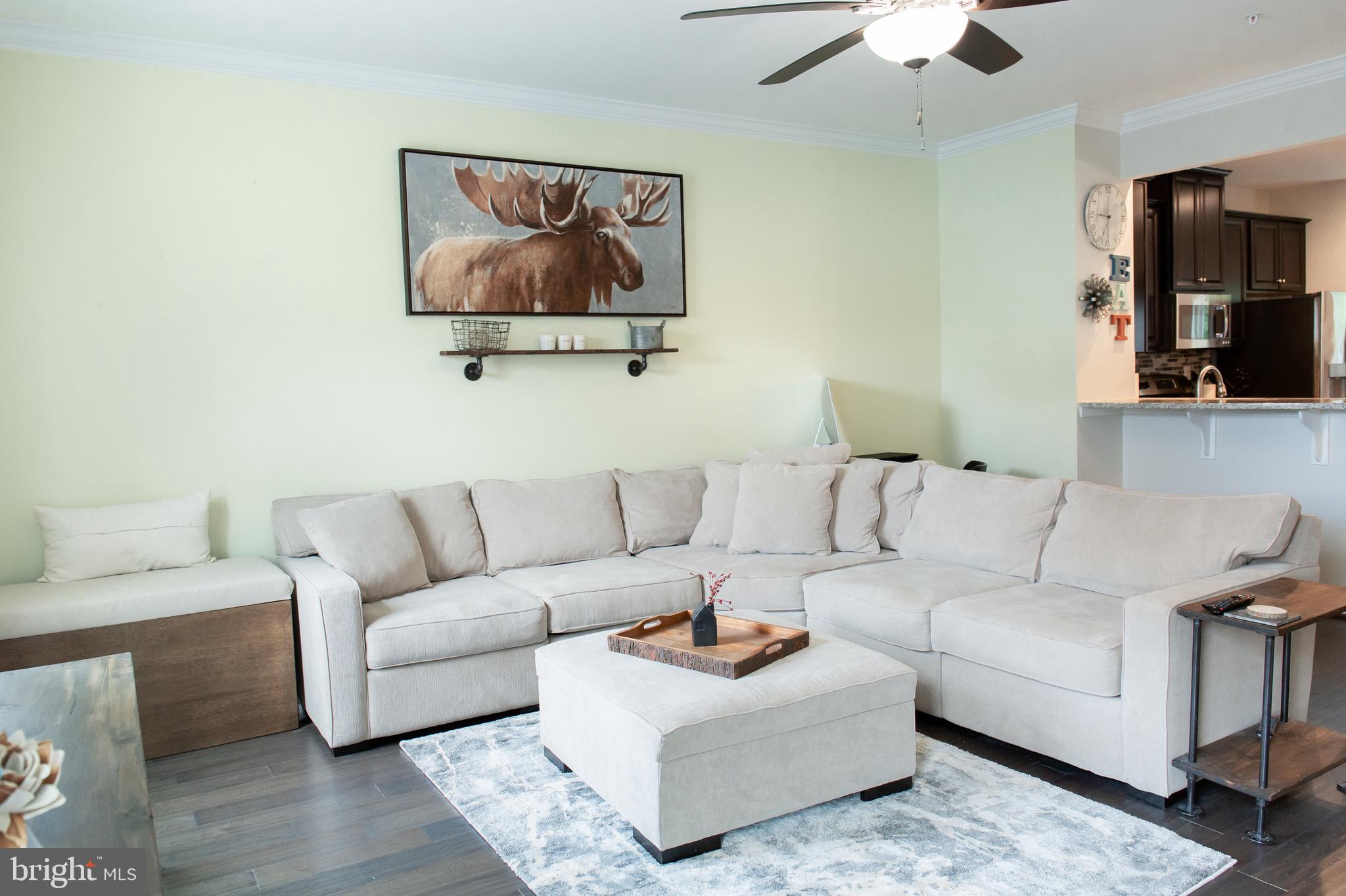 611 Buggy Ride Road Bel Air, MD 21014 - Photo 9 of 34 Living Room