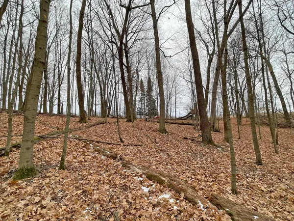 $9,000 | L150 Black Forest Pine, La Valle, WI 53941