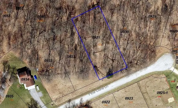 $9,000 | L150 Black Forest Pine, La Valle, WI 53941