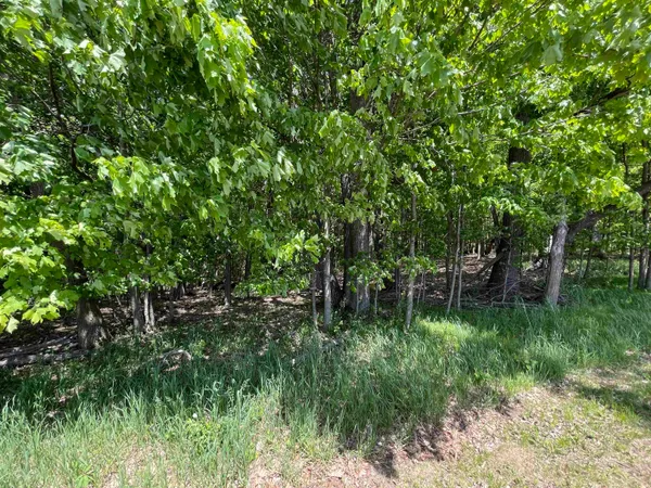 $9,000 | L150 Black Forest Pine, La Valle, WI 53941