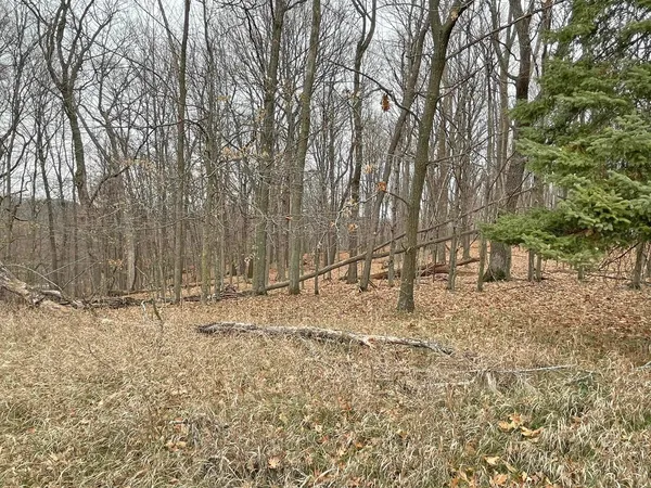 $9,000 | L150 Black Forest Pine, La Valle, WI 53941