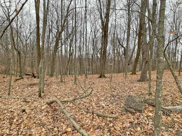 $9,000 | L150 Black Forest Pine, La Valle, WI 53941