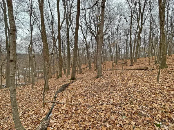 $9,000 | L150 Black Forest Pine, La Valle, WI 53941