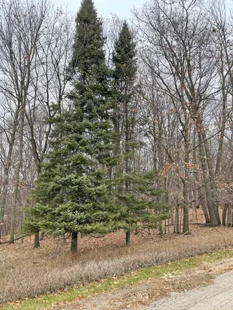 $9,000 | L150 Black Forest Pine, La Valle, WI 53941