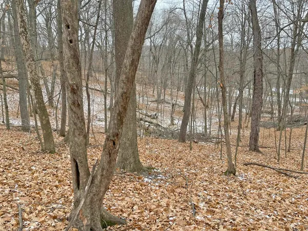 $9,000 | L150 Black Forest Pine, La Valle, WI 53941