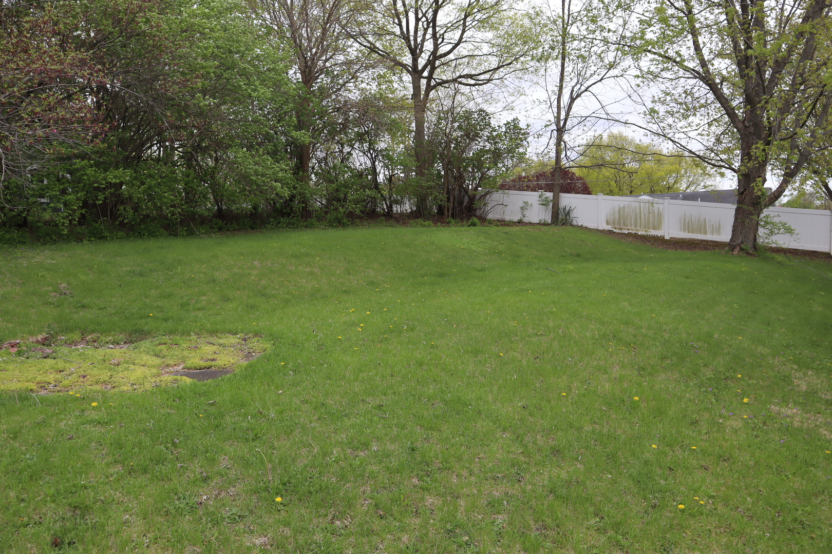 100 North 5th Street Walnut, IL 61376 - Photo 10 of 16 Gallery Image 10