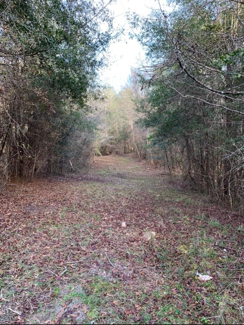 0 Sablefish Lane Red Level, AL 36474 - Photo 11 of 32 Gallery Image 11
