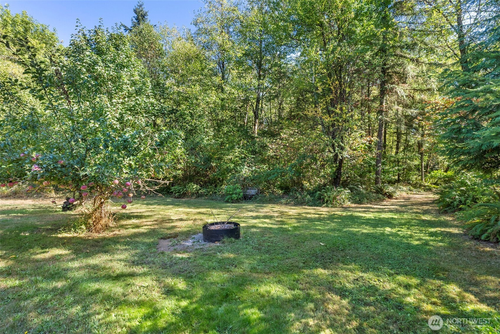 22010 Summers Road Centralia, WA 98531 - Photo 26 of 33 a backyard of a house with lots of green space and fountain