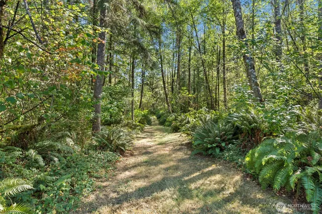 a view of a yard with plants and tree