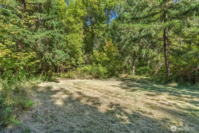 a view of a yard with a tree