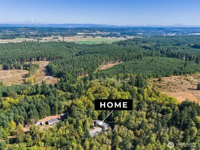an aerial view of a house with a yard and large trees