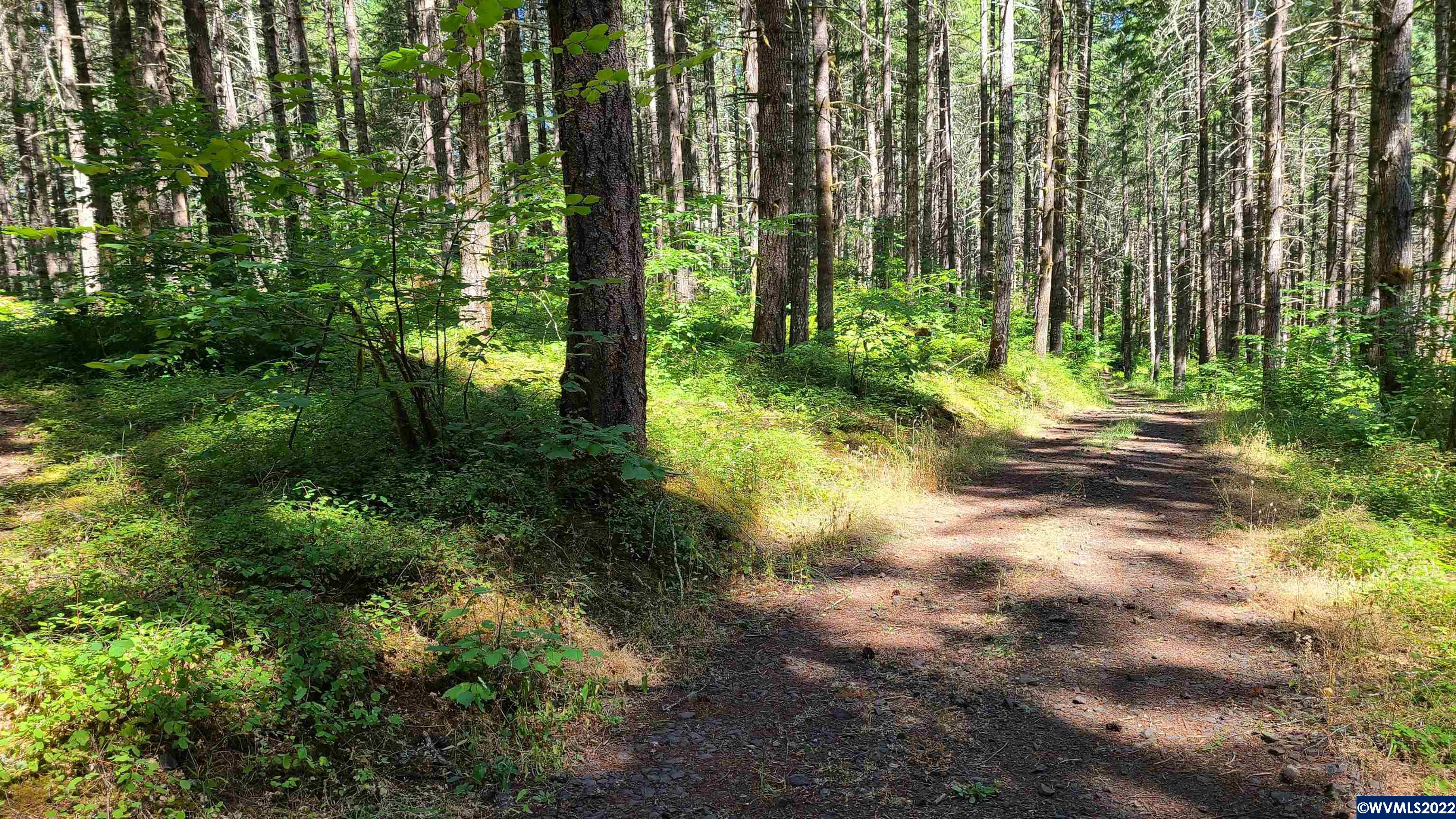 Decker Ridge Corvallis, OR 97333 - Photo 1 of 2 Gallery Image 1