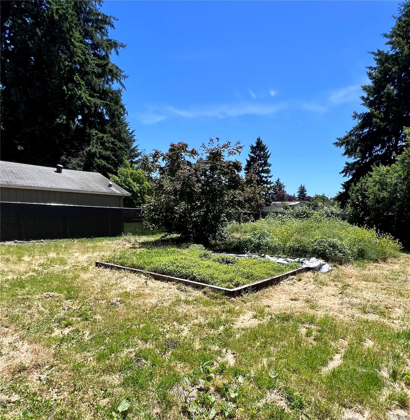 1166 Brookdale Road East Tacoma, WA 98445 - Photo 14 of 20 a view of a backyard of the house