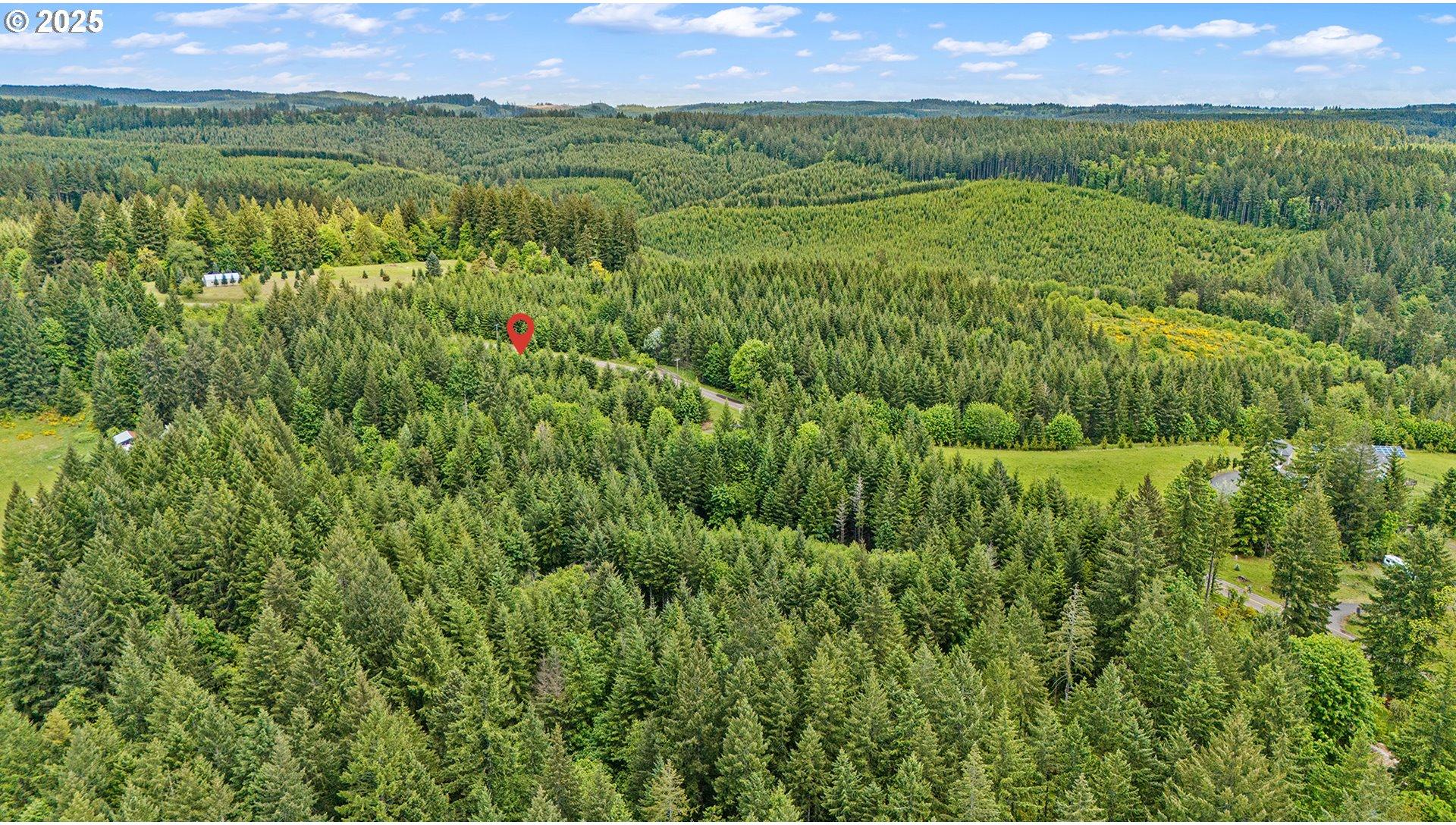 Northwest Pumpkin Ridge Road, Unit 400 North Plains, OR 97133 - Photo 27 of 36 Gallery Image 27