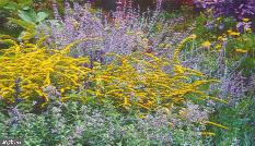 4046 Township Line Road Collegeville, PA 19426 - Photo 32 of 49 Flowers in Garden