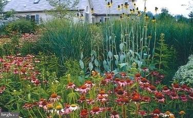 4046 Township Line Road Collegeville, PA 19426 - Photo 6 of 49 Flowers in Garden