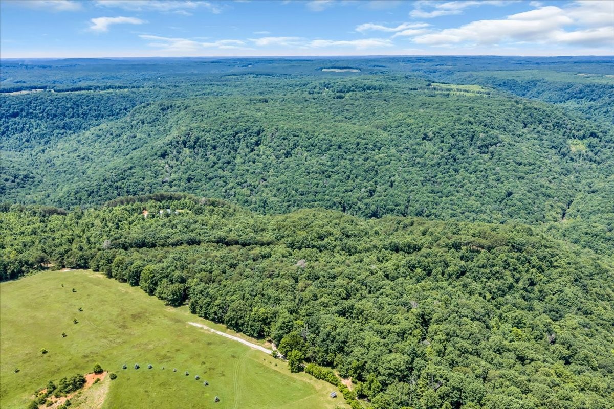 5688 Burkett Chapel Road Gruetli Laager, TN 37339 - Photo 53 of 73